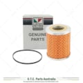 Lister HA2, HA3 Early Fuel Filter Element 351-11490