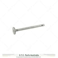 Genuine Lister D Inlet Valve (Early Type) D155