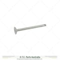 Genuine Lister D Exhaust Valve (Later Type) D255