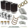 Lister Petter TR3 3-Cylinder Engine Overhaul Rebuild Kit (Major)