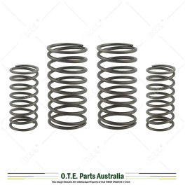 Lister CS, JP, VA, CD, CE Valve Spring Set (4 Springs)
