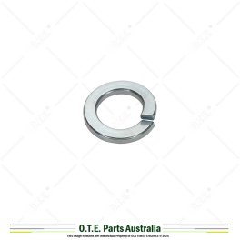 M12 Spring Washer - Zinc Plated