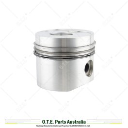 Petter AD1 & AD2 Piston Assembly 364700 (STD)