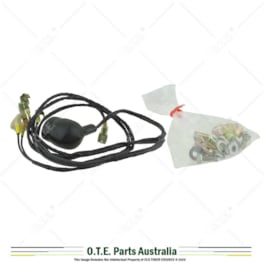 Lister TS/TR2,3 Protective Switches Cable Loom 570-30982