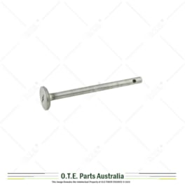 Genuine Lister D Inlet Valve (Early Type) D155