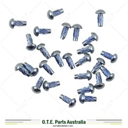No.4 x 1/4" Hammer Drive Rivets (Electroplated)