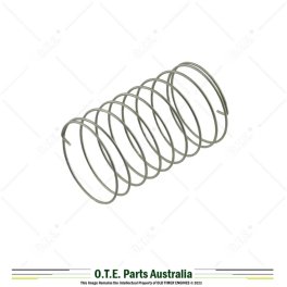 Carburettor Sniffer Valve Spring V26 R&T N Type