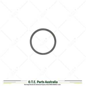 Lister Petter TS, TR, LV, LT Fuel Pump Shims