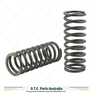 Lister J, K & B Valve Springs 3382 (Pair)