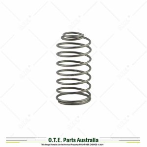 Carburettor Sniffer Valve Spring Lister D, DK & F - D100