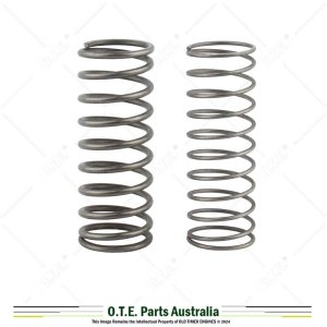 Valve Spring Set Farm Pumper, Buzacott, Rosebery, Champion J67 & J68