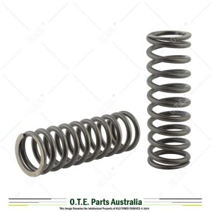 Lister L & M Valve Springs 5382 (Pair)