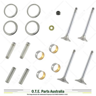 Lister Petter TR2 2-Cylinder Engine Overhaul Rebuild Kit (Major)