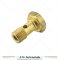 Brass Swivel Union PLUG Lister 201-15400
