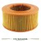 Lister Petter TS, TR & TX Air Filter Element 366-07188