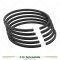 Ronaldson & Tippett CF 6, 6.5 & 8HP Piston Ring Set - 4-1/4” Bore (STD)