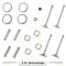 Lister Petter TR2 2-Cylinder Engine Overhaul Rebuild Kit (Major)